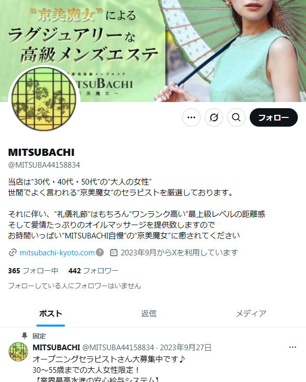 公式X